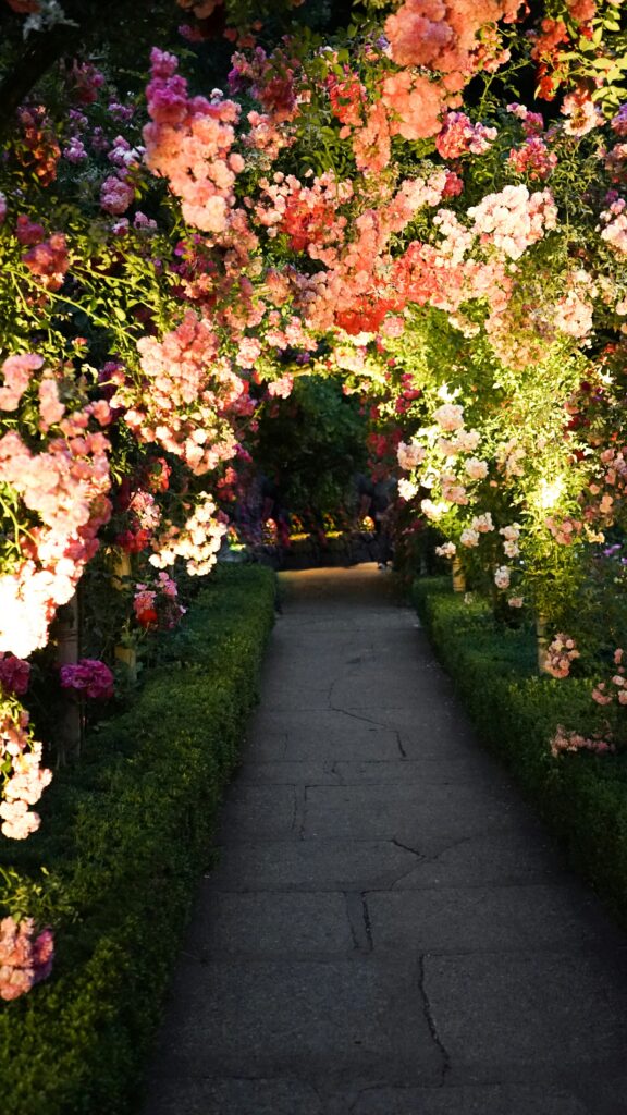 A flower-lined pathway symbolizes the journey to prosperity